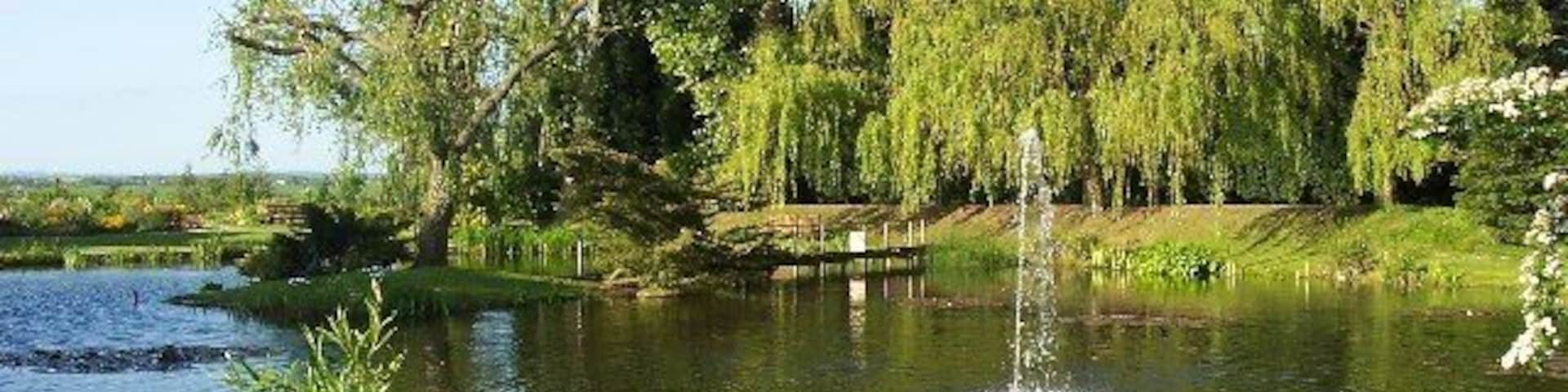 The Pond at Stixwould.