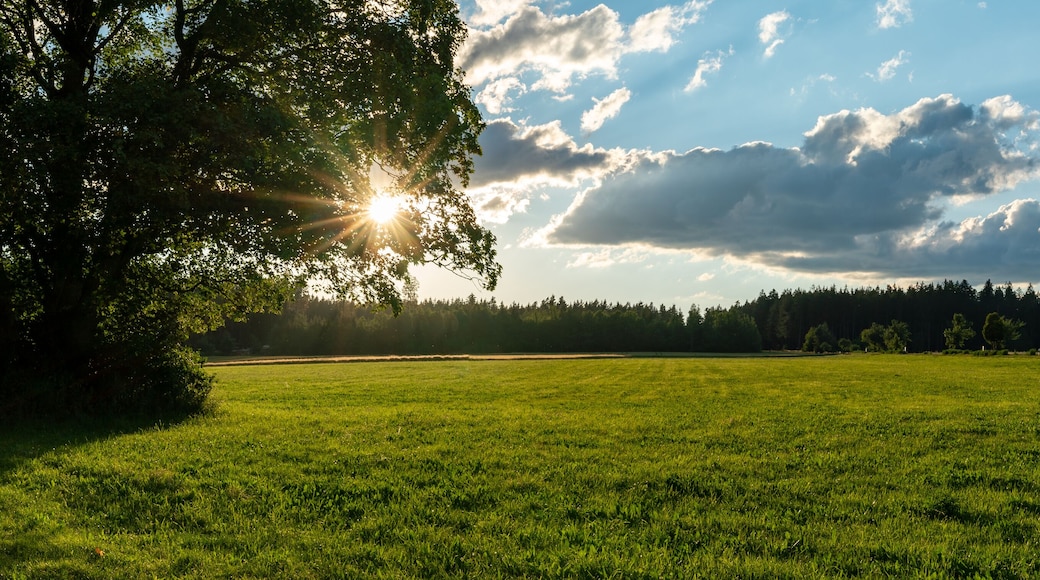 Koenigsfeld im Schwarzwald