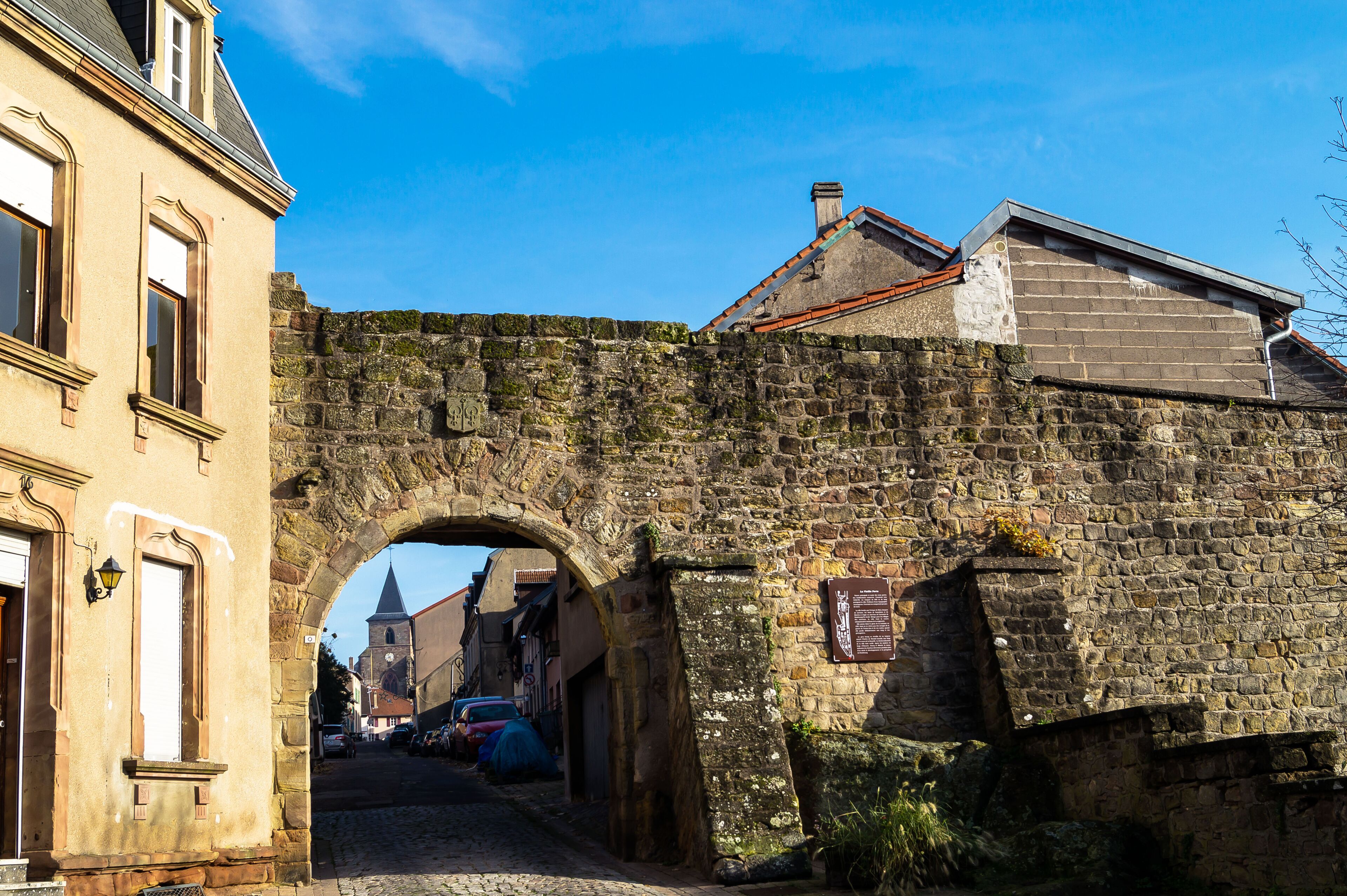 ฟอร์บาช