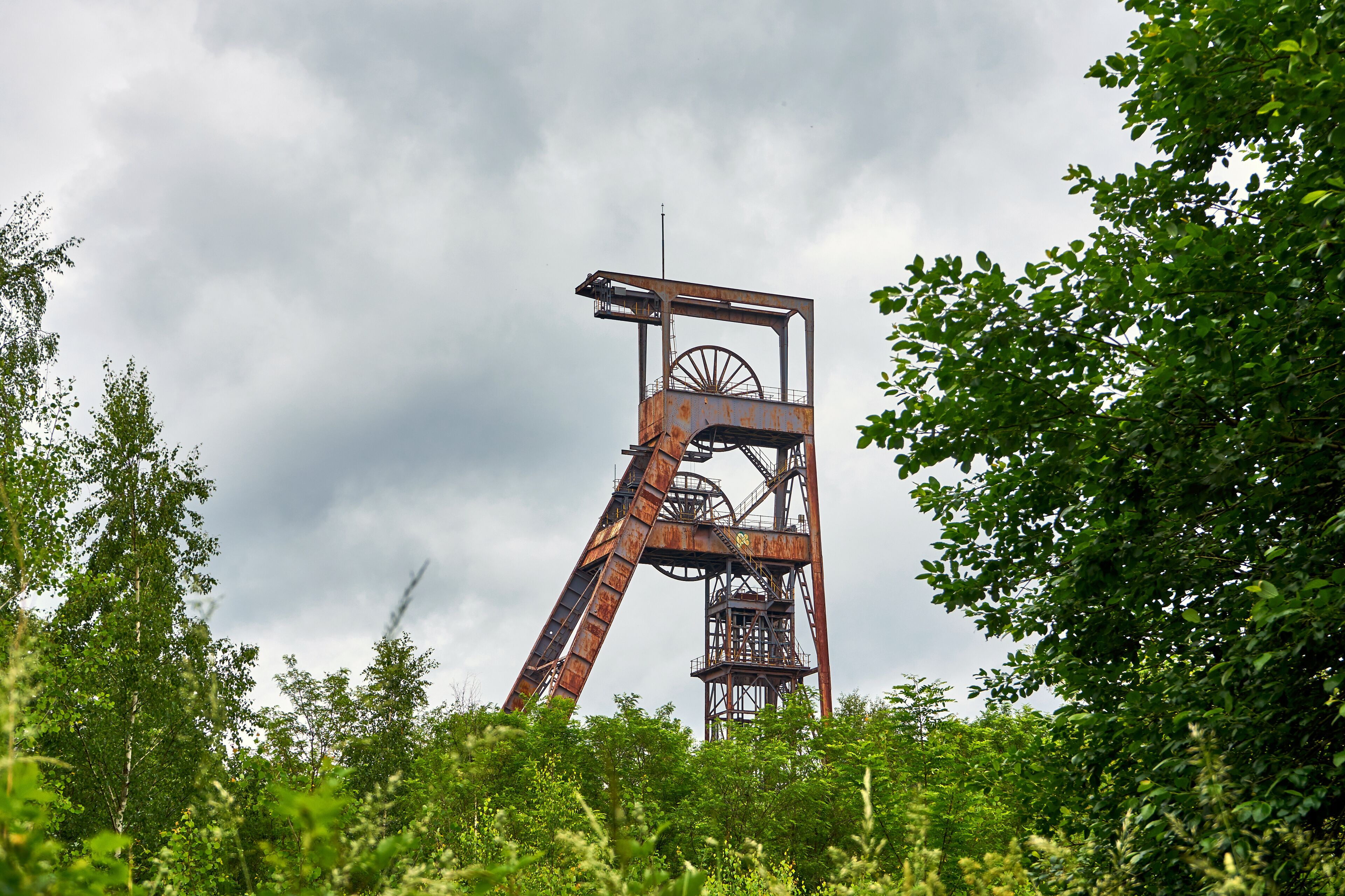 ฟอร์บาช