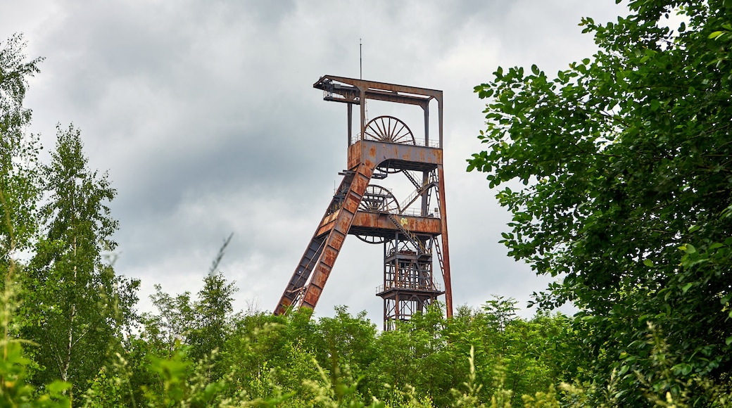 ฟอร์บาช