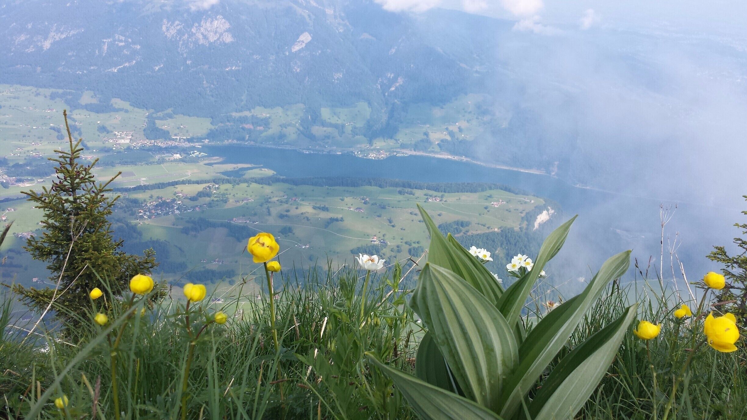 View from the grounds where the CabriO Cable Car drop you off at the top of the mountain.  Spectacular!