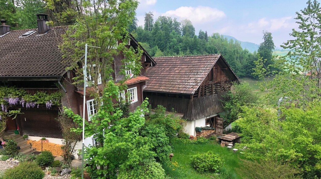 Going up Mount Stanserhorn. May 2018