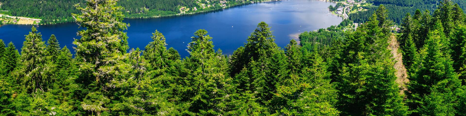 Incredible nature around Gerardmer lake in Vosges mountains, France
