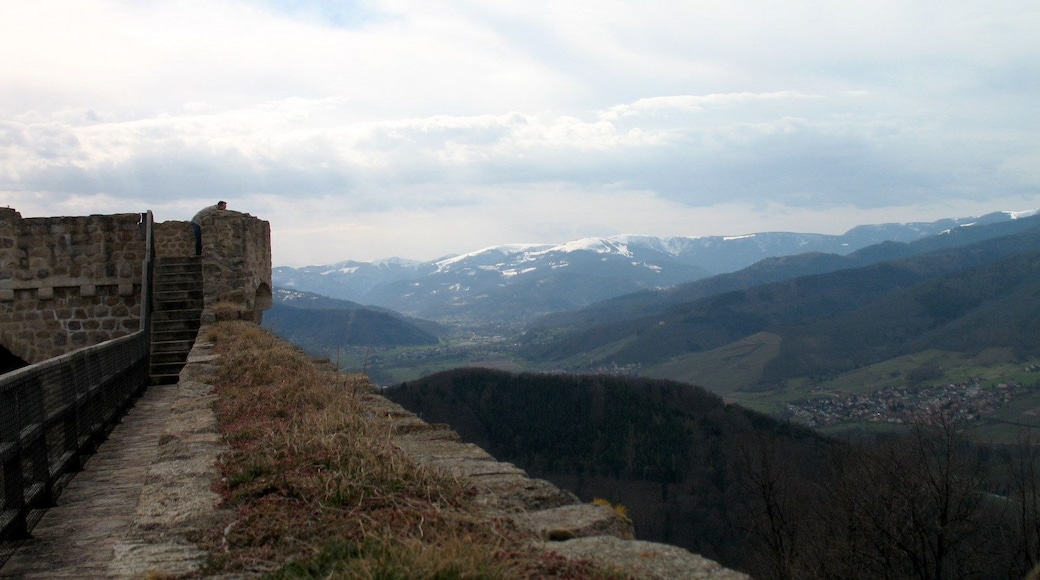 Hohlandsburg castle (looking West)