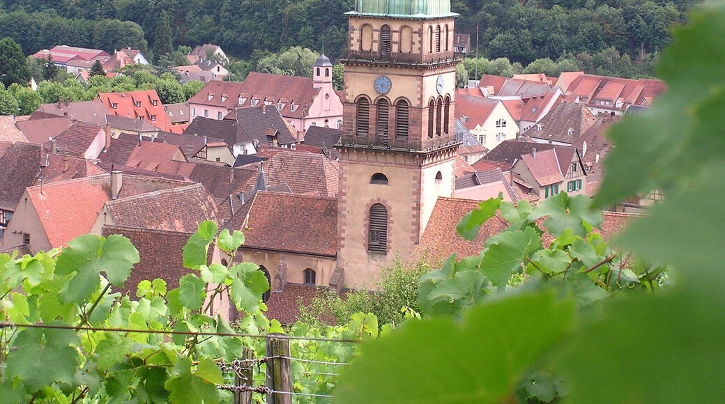 L'église Sainte-croix