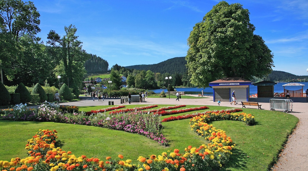 Lac de Gérardmer, a lake in the Ballons des Vosges Nature Park (France).