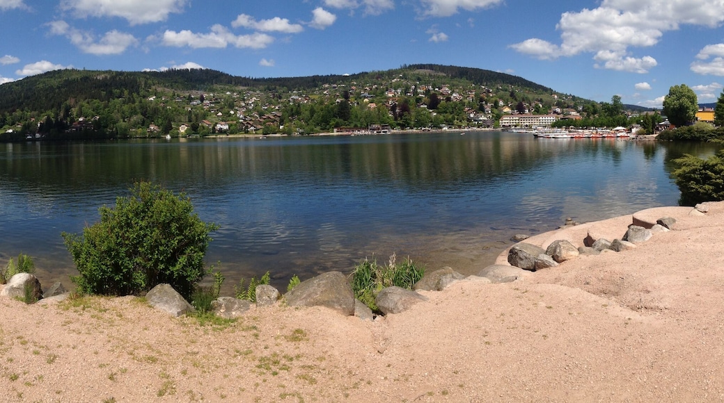 Photo prise à l'occasion de Vosges Opération Libre en mai 2014.