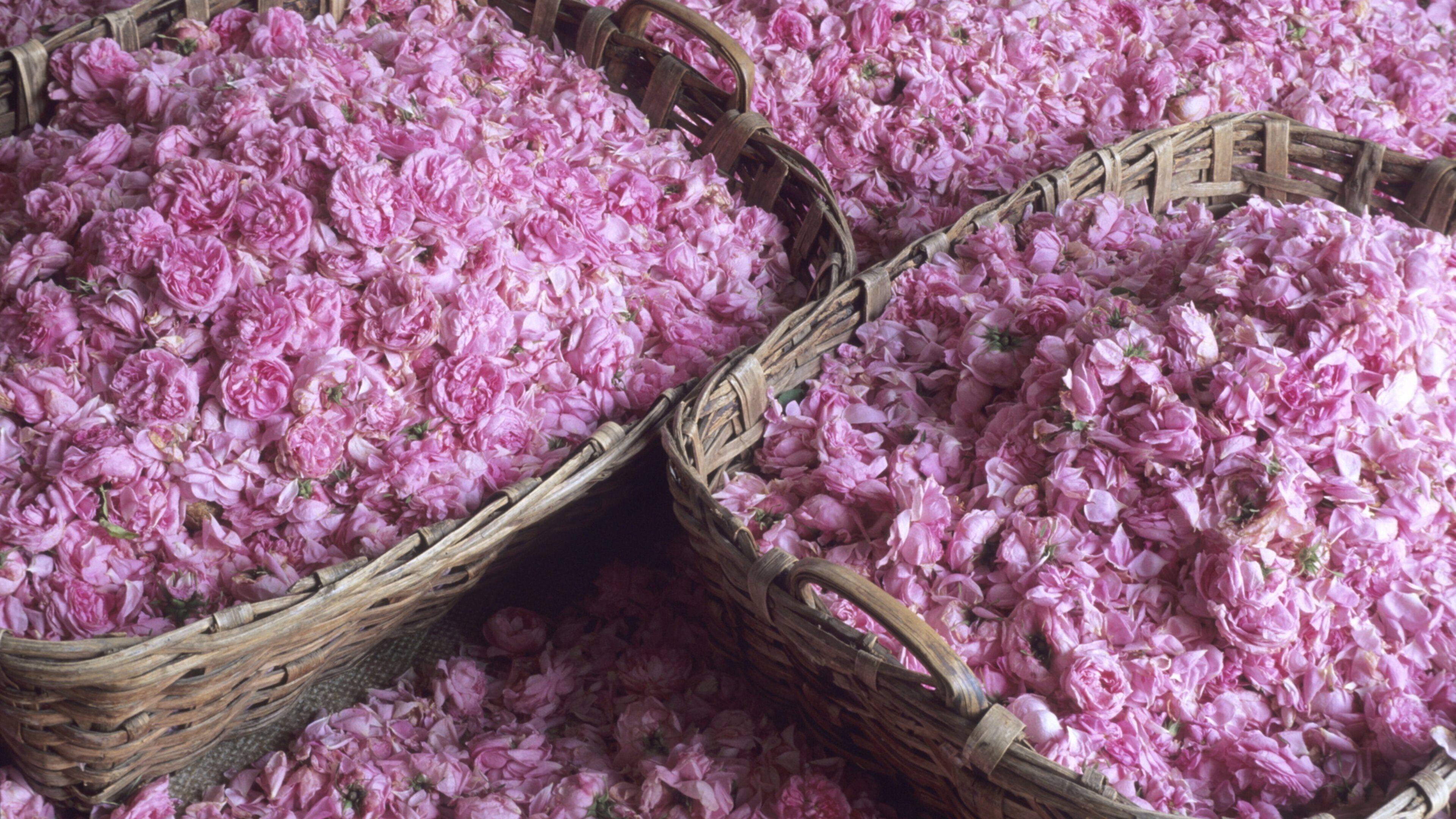 Wicker baskets filled with pink flowers.