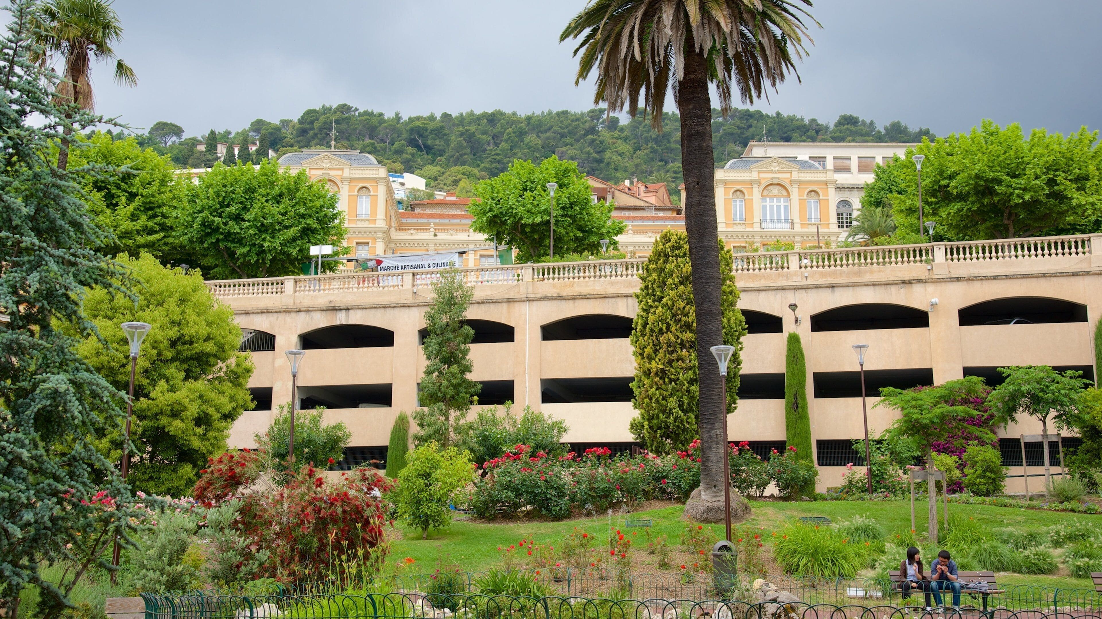 Grasse som viser hage