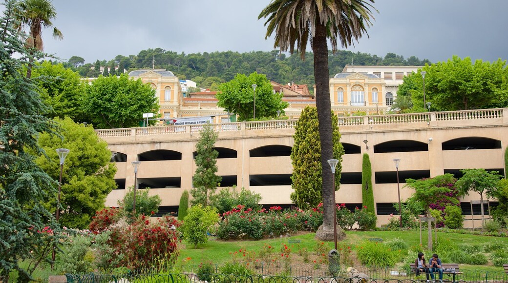 Grasse som viser hage