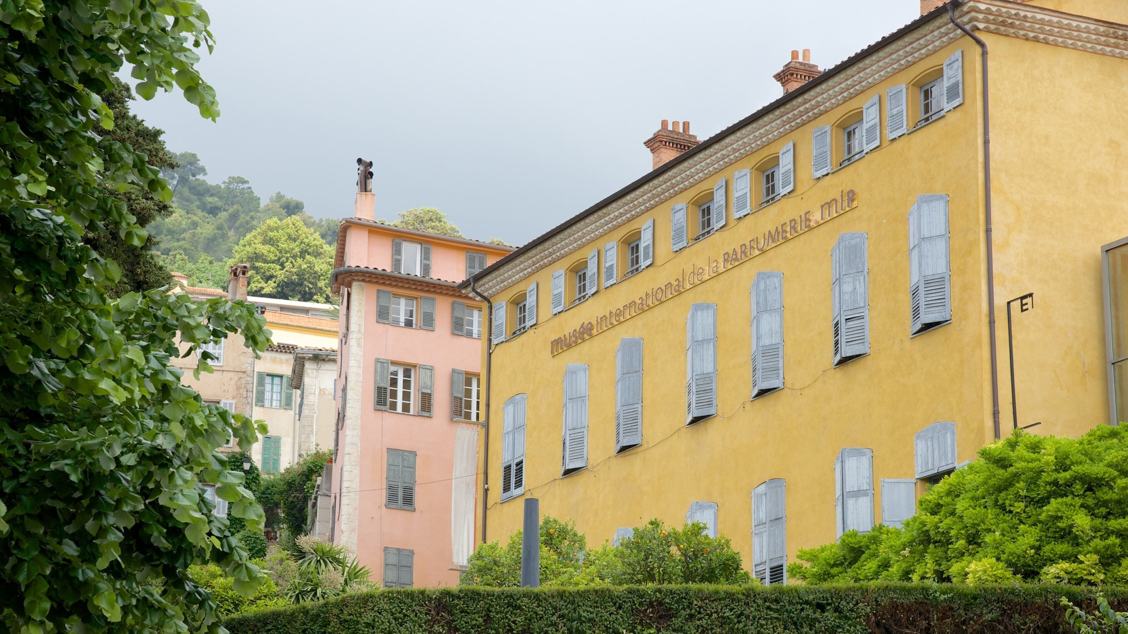 A yellow building with the text "musee international de la parfumerie" and a pink building with shutters.