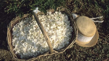 A basket filled with white flowers and a straw hat.