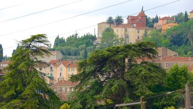 Grasse