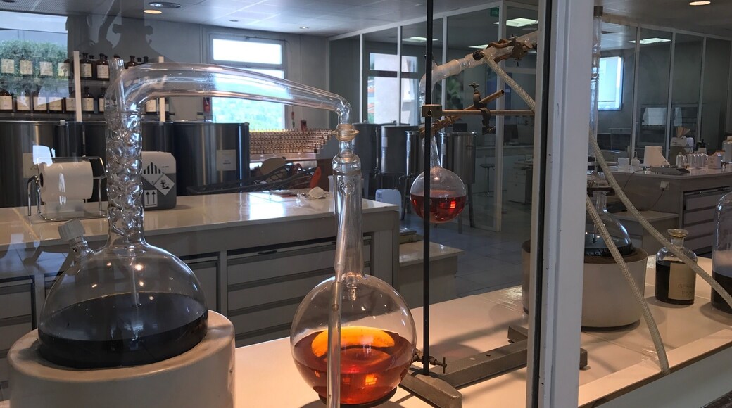 In Grasse you can see where and how they make the most famous perfumes in the world.