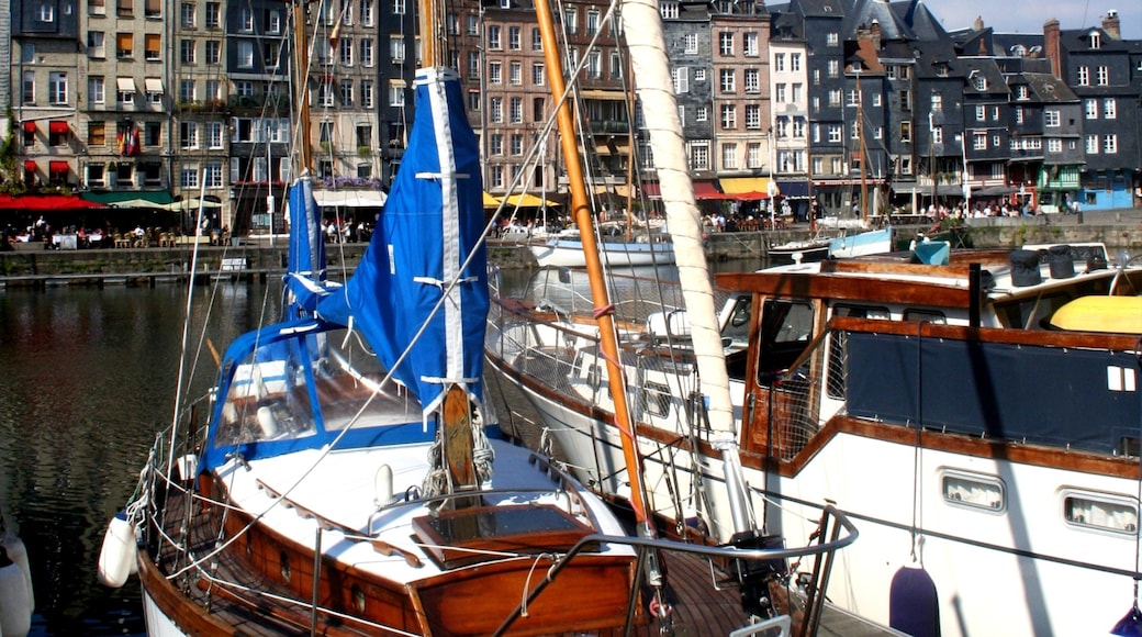 Honfleur showing a city, general coastal views and a river or creek