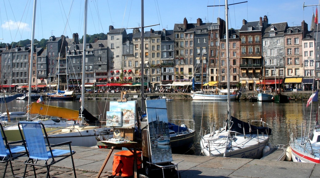 Honfleur featuring a marina, a coastal town and boating