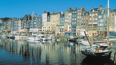 Honfleur showing a coastal town, a city and a bay or harbor