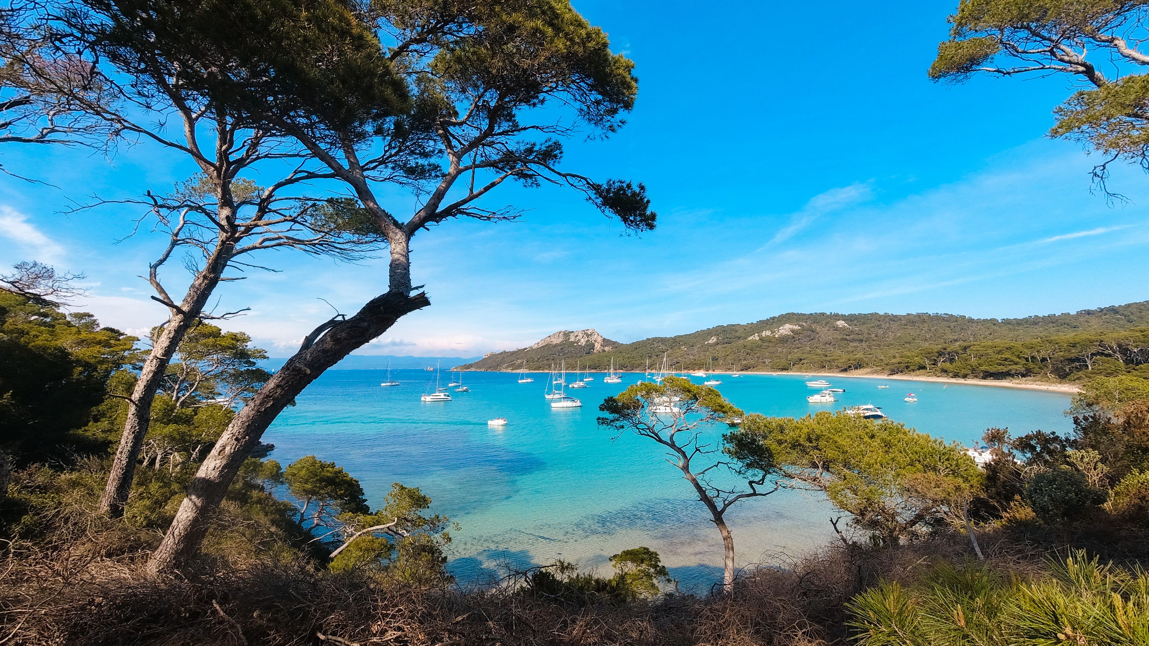 Landscapes, summer Mediterranean sea and beaches of the island of Porquerolles, in Hyères, in the Var in France