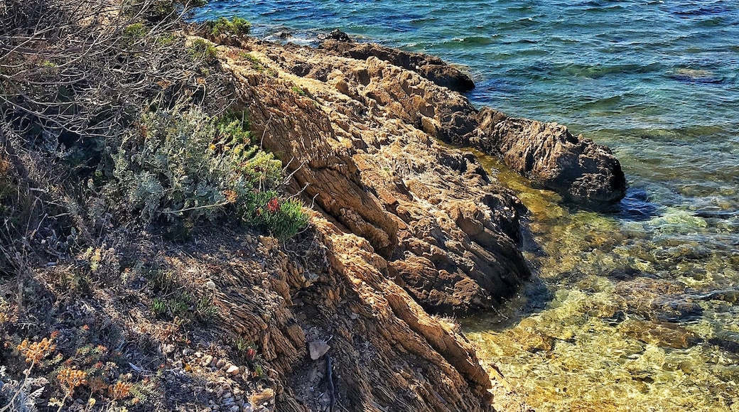 Beautiful day in Poquerolles, South France.
If you have time and patience you can find many small shells :-)