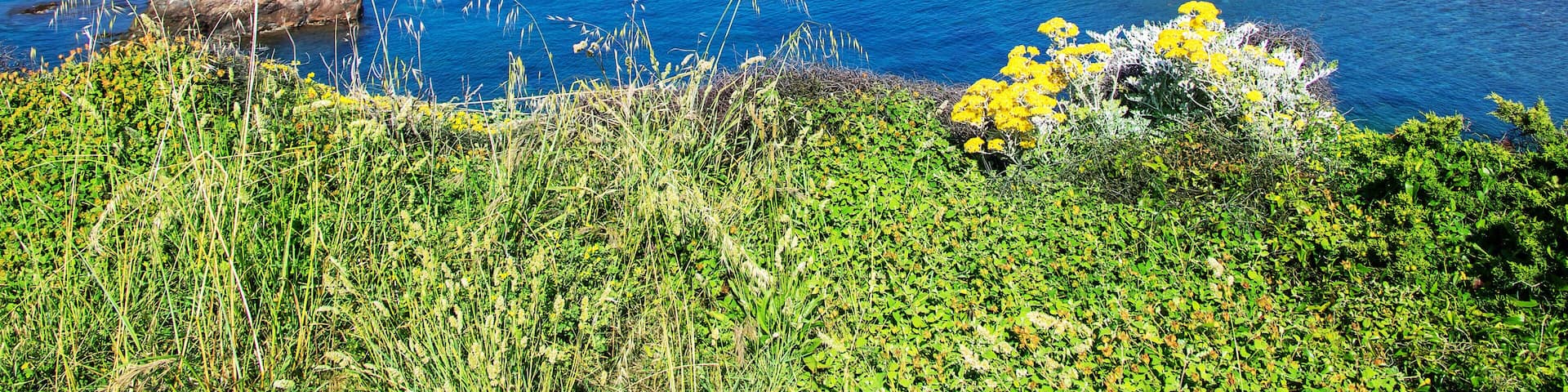 PJXN04 Mediterranean coast trail Hyeres Provence Alpes Cote d'Azur, colour landscape nature sunny blue sky landscape sea views beautiful holiday places