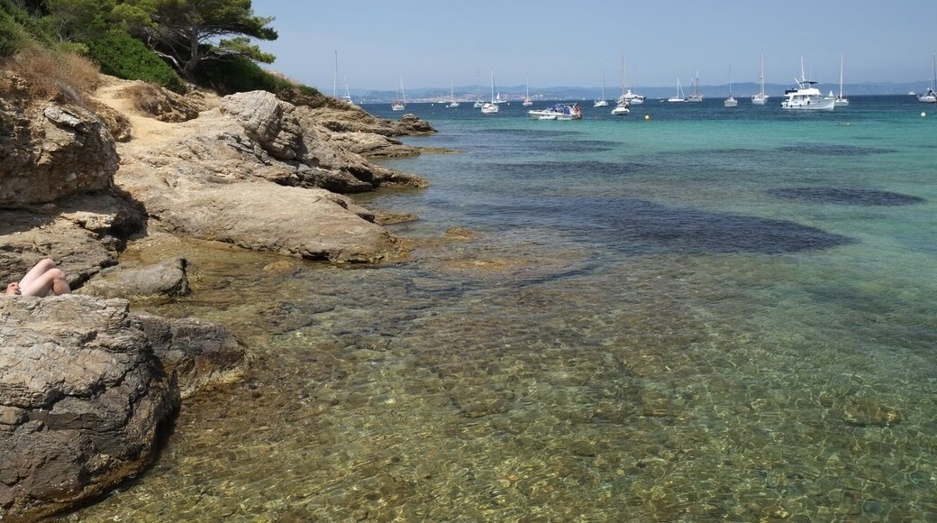Île de Porquerolles, is an island in the Îles d'Hyères, Var, Provence-Alpes-Côte d'Azur, France