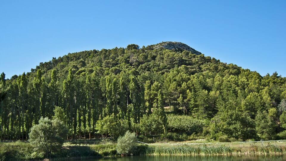 A mountain with dense forest and a calm lake in the foreground.