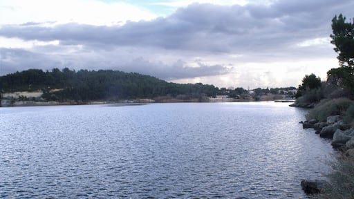 Étang de l'Olivier (Istres). Camera location 43° 31′ 08″ N, 4° 59′ 30″ E View this and other nearby images on: OpenStreetMap - Google Earth 43.518889; 4.991667