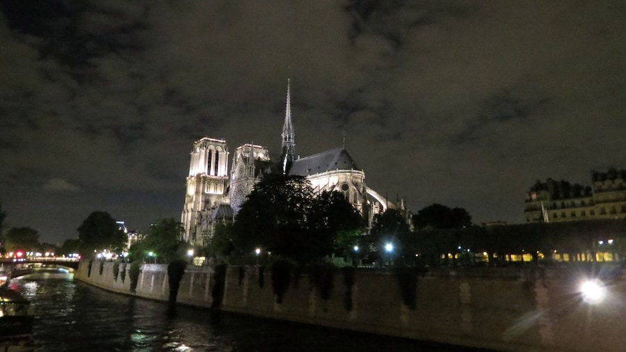 Beautiful night view of Notre Dame.