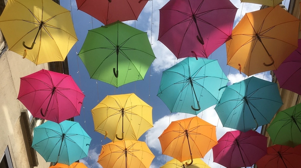 Lovely place in laon
Historic medieval town
A lot of artists down this road
Lovely medieval town surrounded by remparts