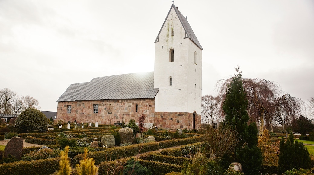 Slagelse ofreciendo un parque y una iglesia o catedral