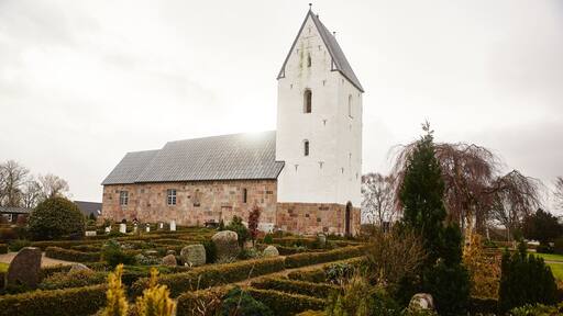 Slagelse mettant en vedette jardin et église ou cathédrale