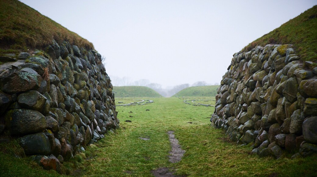 Slagelse featuring heritage elements