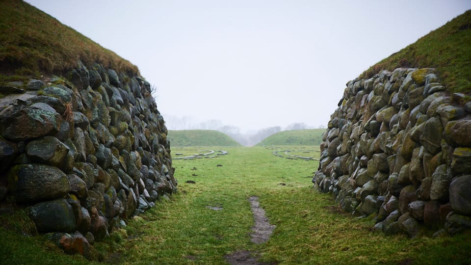 A stone wall pathway in a grassy field with a foggy background.