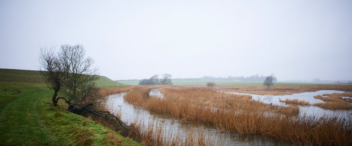 Slagelse featuring tranquil scenes and a lake or waterhole