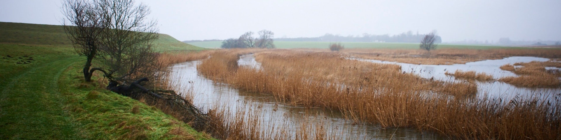 Slagelse que incluye situaciones tranquilas y un lago o laguna