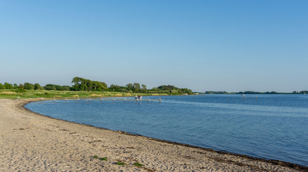 Fredericia