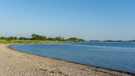 Fredericia