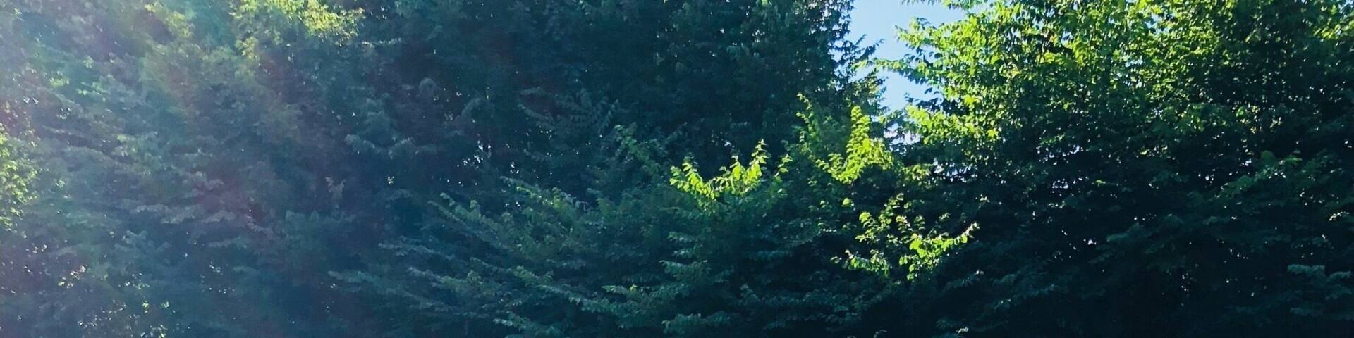 My daughter. Handstand. Every. Where.