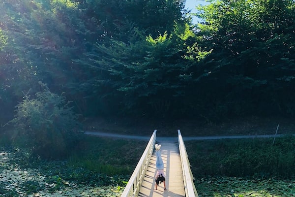 My daughter. Handstand. Every. Where.