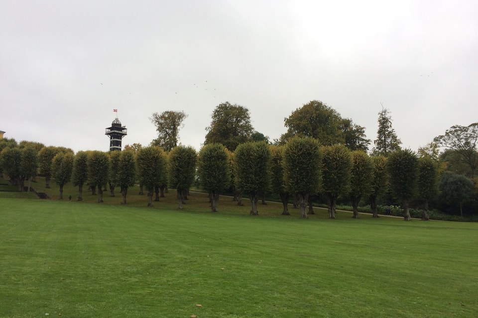 A park with neatly trimmed hedges, a tower, and a grassy field.