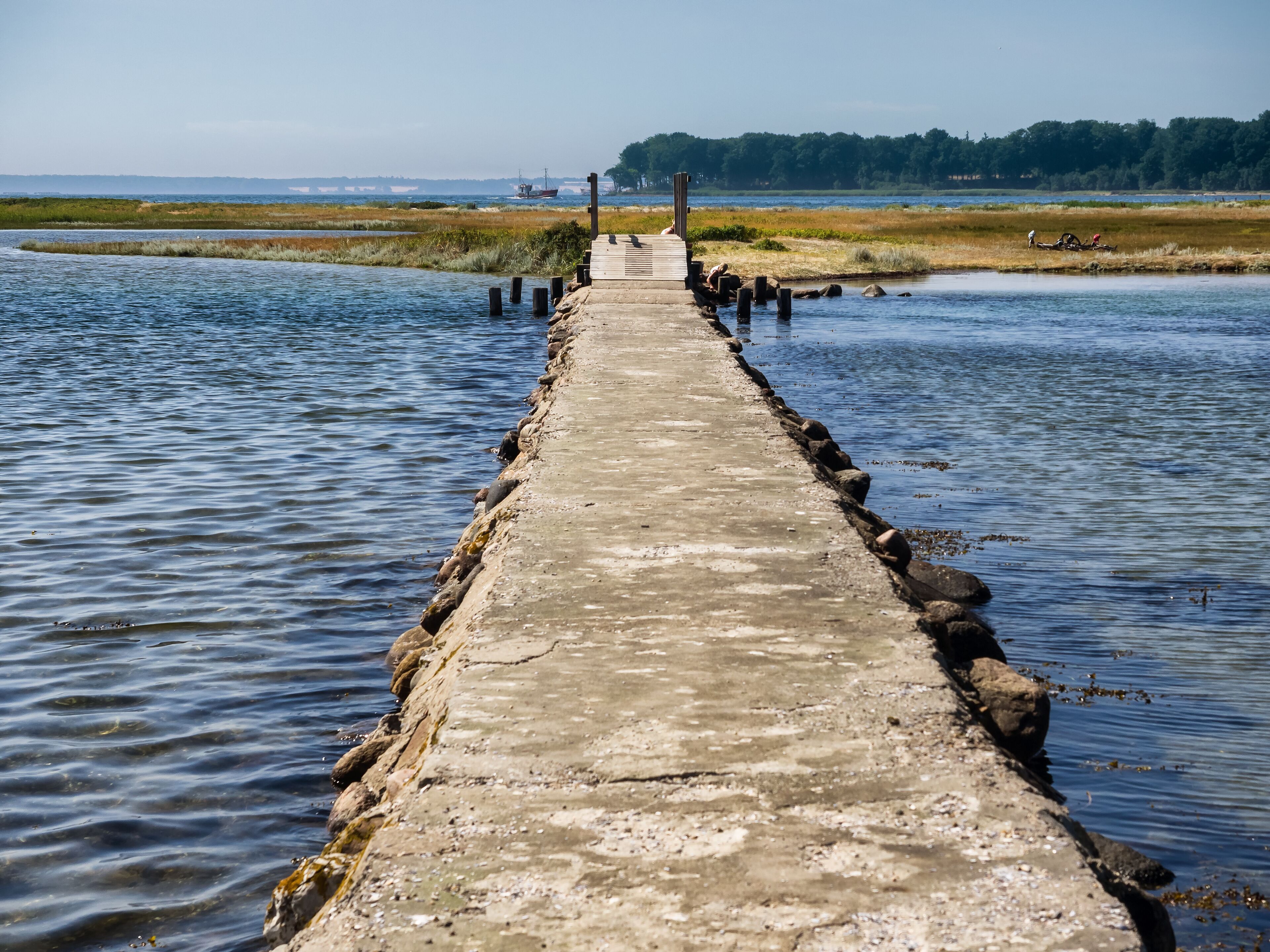 Road to the beach on Hjarnoe Jutland