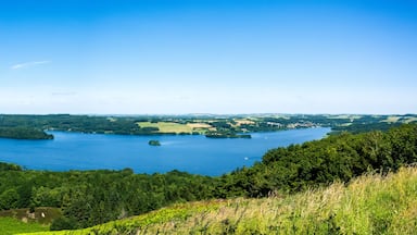 Un lago rodeado de colinas boscosas y un cielo azul despejado.