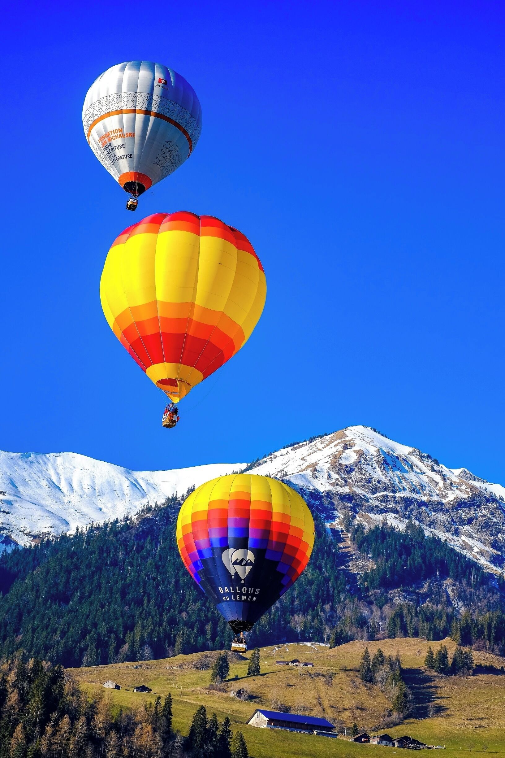 Don't miss the hot air balloon festival at the end of January every year #bvsblue