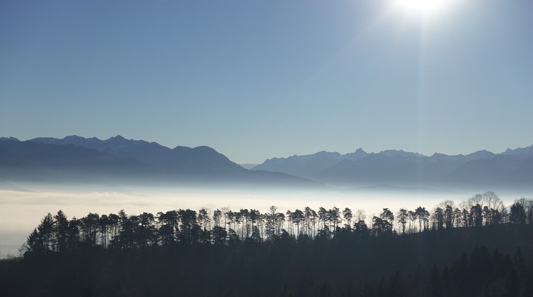 View from Stoß pass into the Rhinevalley of Switzerland with the Austrian alps in the background ! Morning fog raising up !