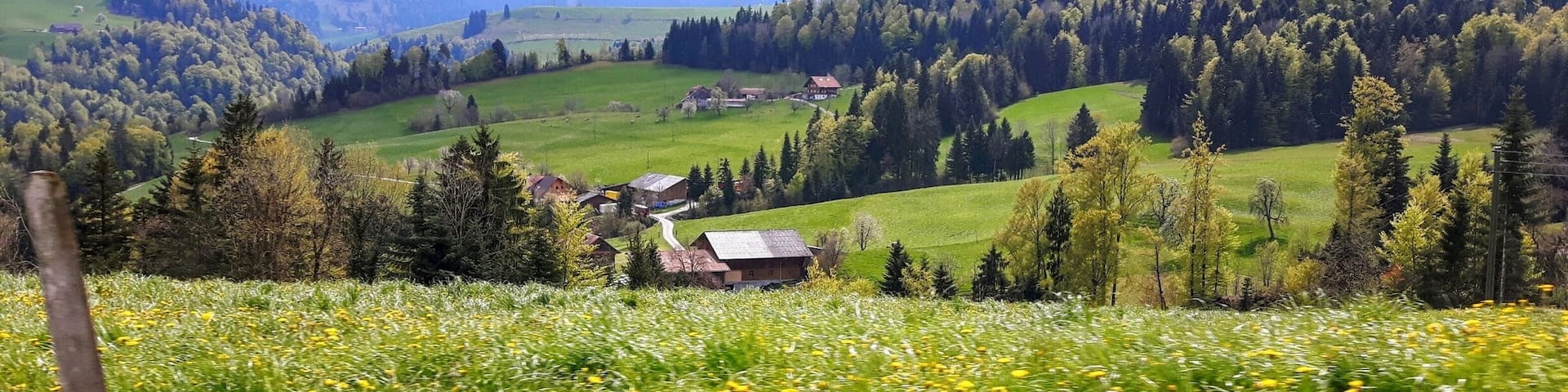 Taken from the car whilst driving from Bern to lucerne on the scenic route 😍 #green