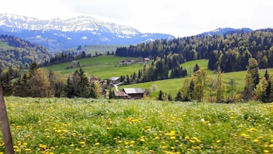 Taken from the car whilst driving from Bern to lucerne on the scenic route đ #green
