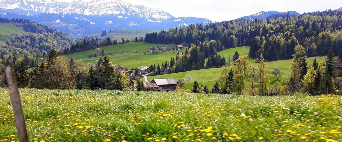 A valley with a small village, green fields, and snow-capped mountains in the background.