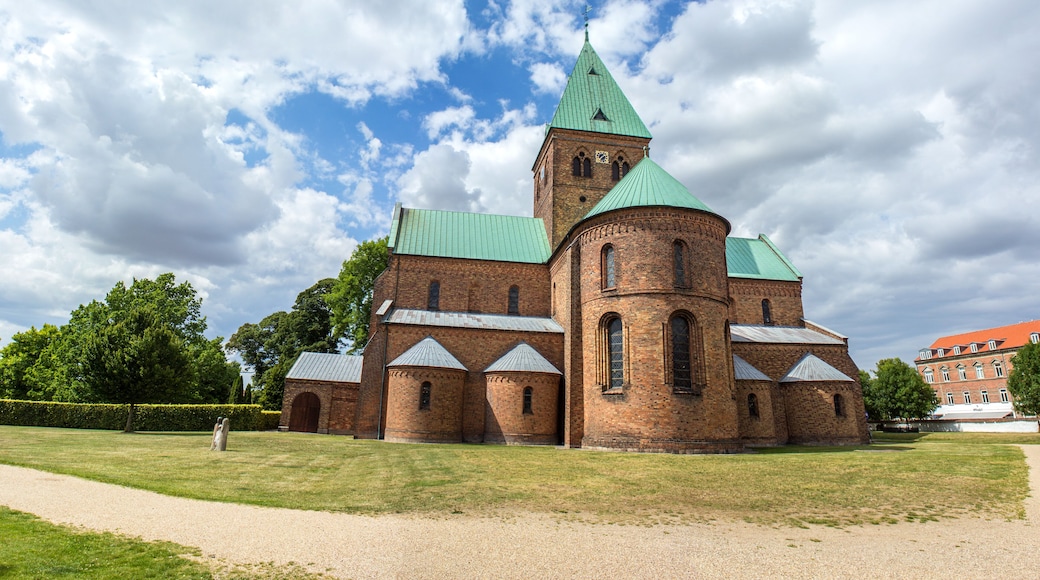 Sankt Bendts Kirke Ringsted Sjælland Danmark