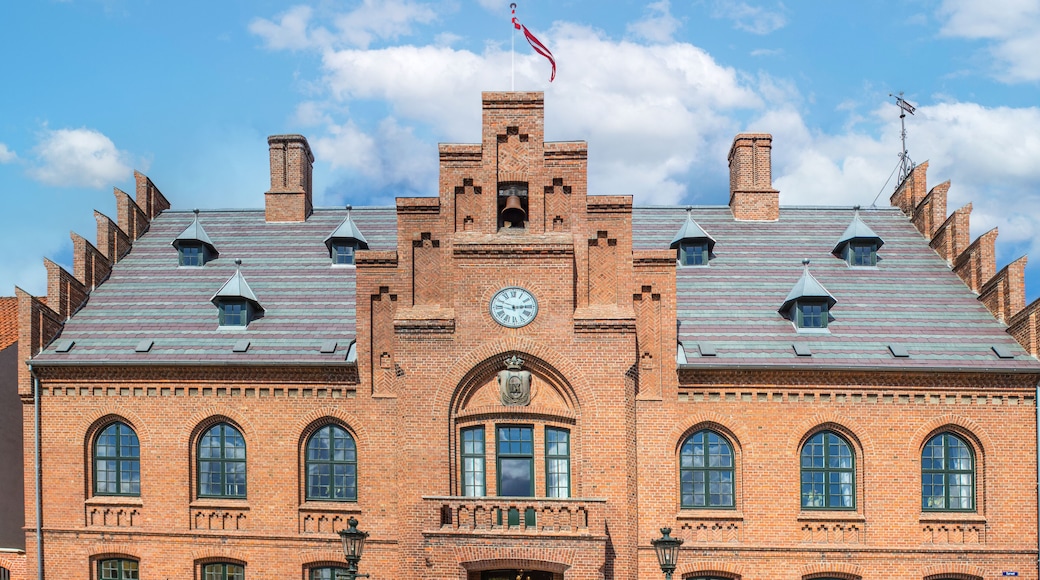 Rådhus (city hall) Ringsted Region Sjælland (Region Zealand) Denmark